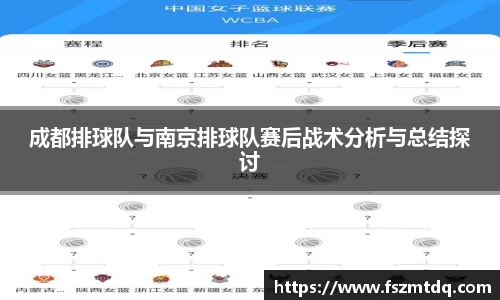 成都排球队与南京排球队赛后战术分析与总结探讨