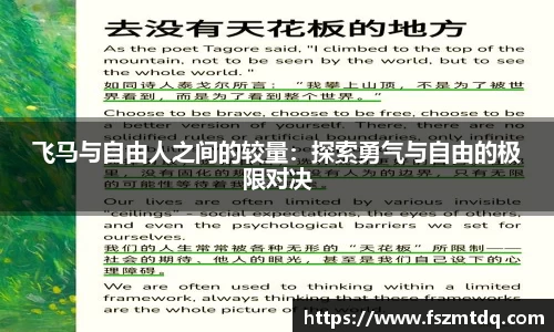 飞马与自由人之间的较量：探索勇气与自由的极限对决